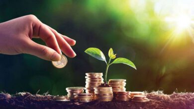 بهترین سرمایه گذاری با ۱۰ میلیون تومان