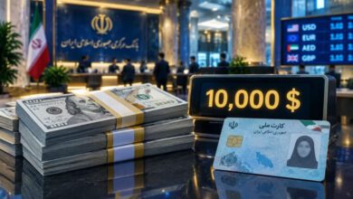 آموزش دریافت ۱۰ هزار دلار ارز دولتی